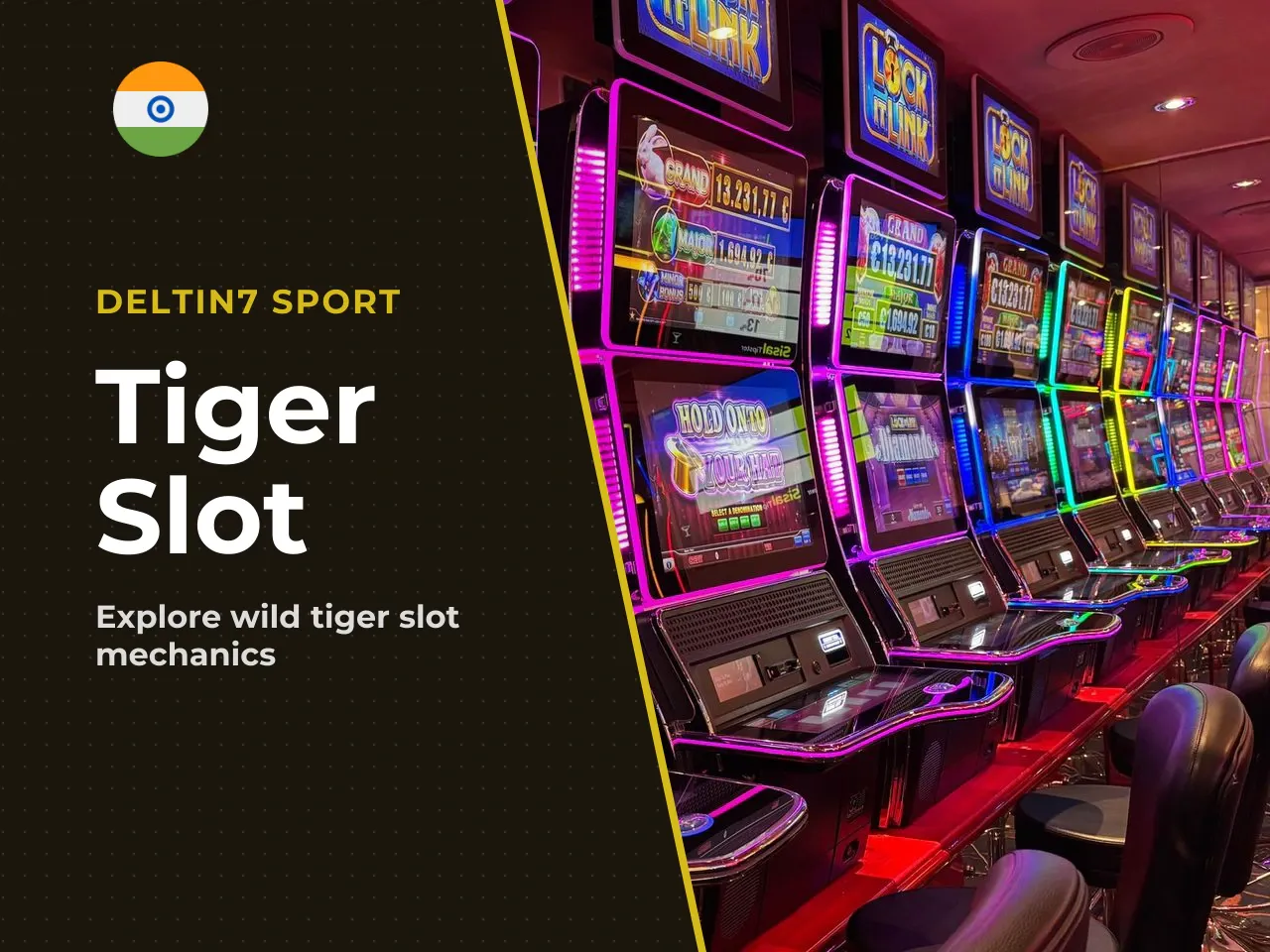 Wild Tiger Theme and Gaming Experience
